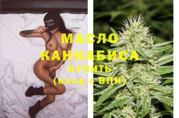 индика Бородино
