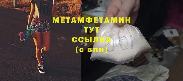 индика Бородино
