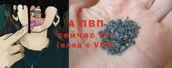 индика Бородино