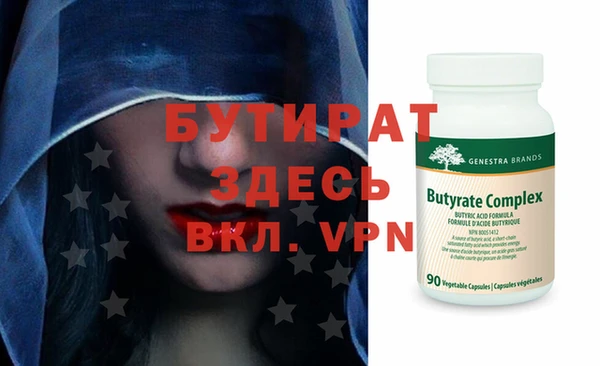 индика Бородино
