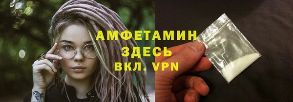 индика Бородино