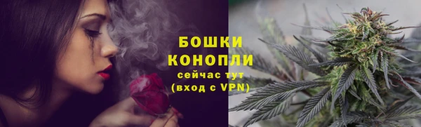 трава Снежинск