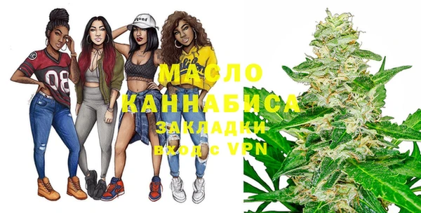 индика Бородино