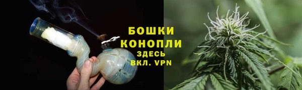 индика Бородино