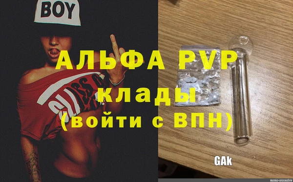 индика Бородино