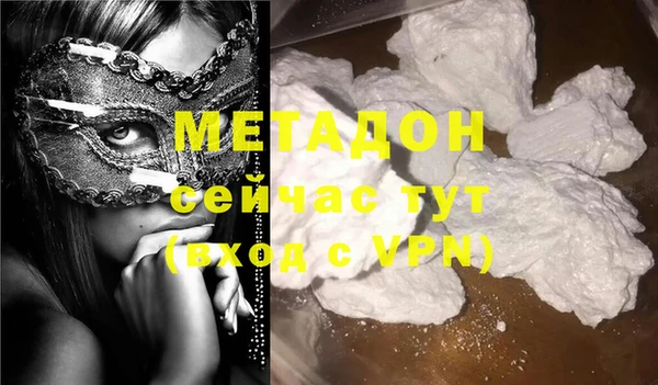 индика Бородино