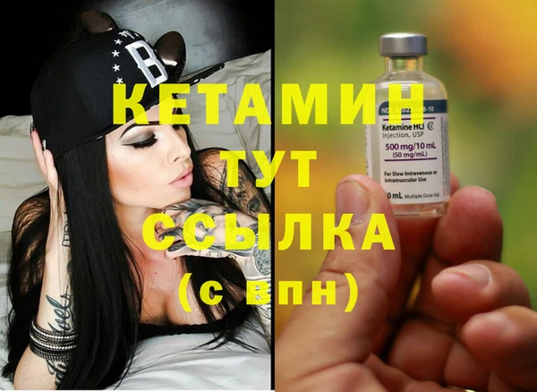 индика Бородино