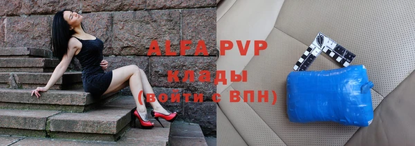 индика Бородино
