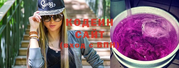 индика Бородино