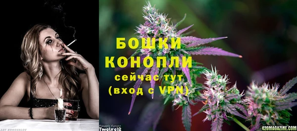 индика Бородино