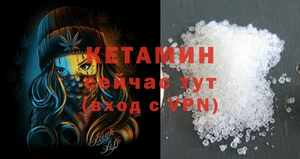 индика Бородино